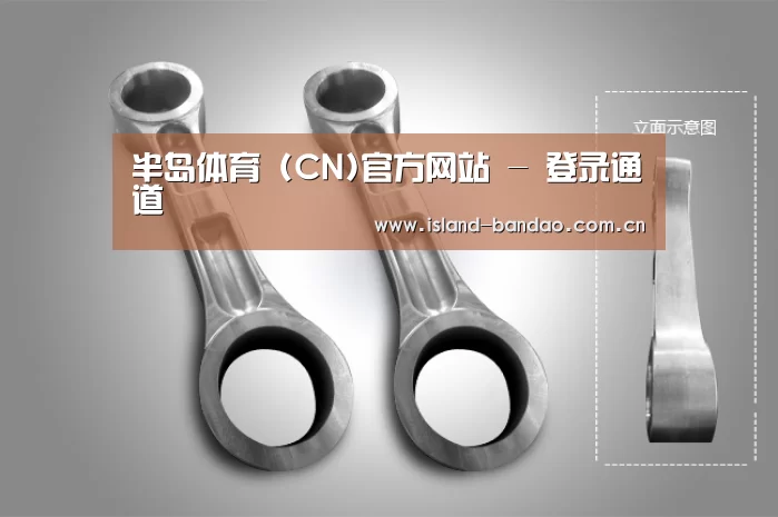 产品展示标题五