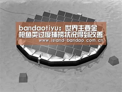 bandaotiyu：世界主要金枪鱼类过度捕捞状况得到改善